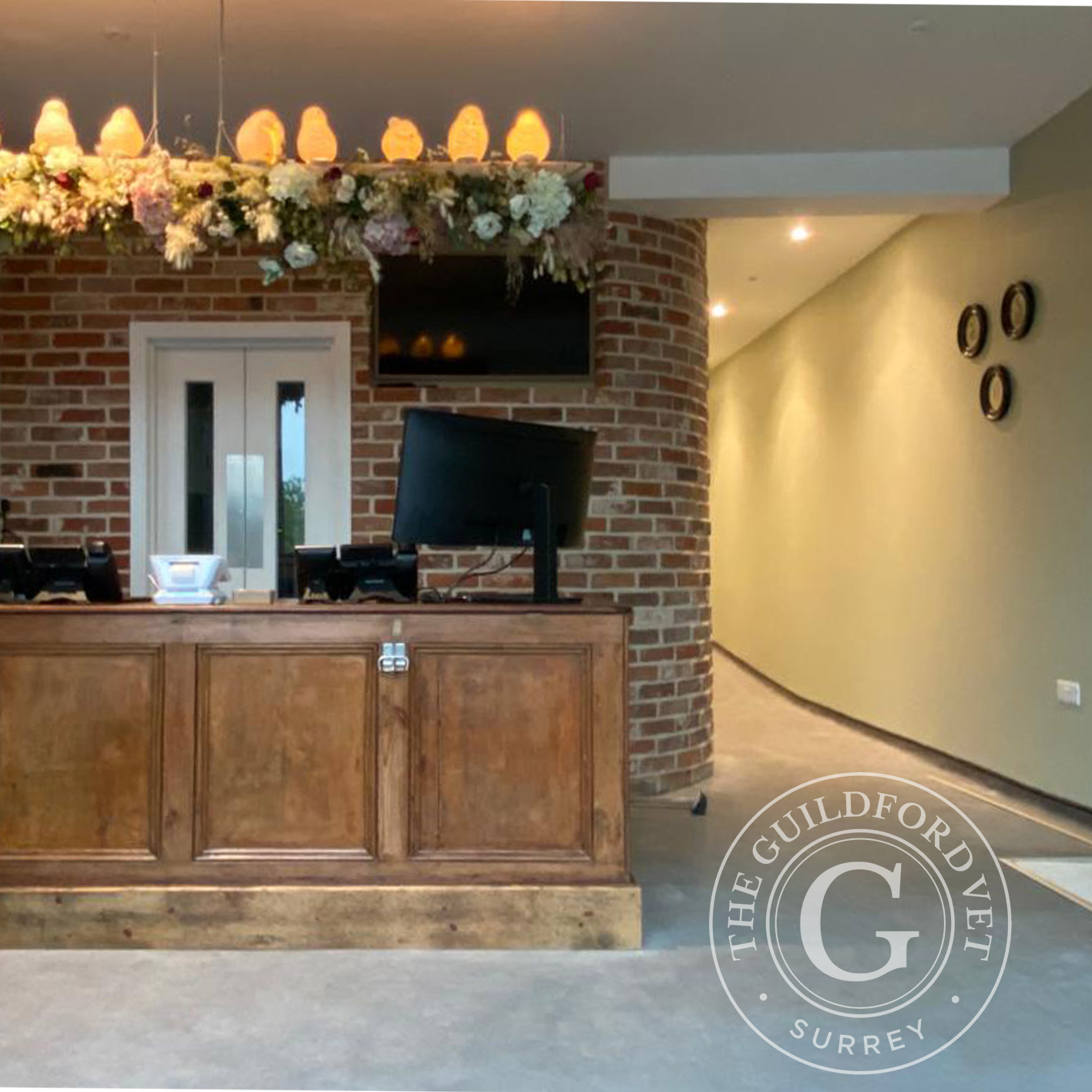 About the Guildford vet Guildford Vets